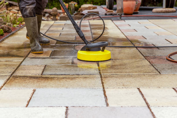 Best Gutter Cleaning  in Grandville, MI