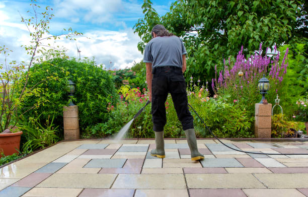 Best Driveway Pressure Washing  in Grandville, MI